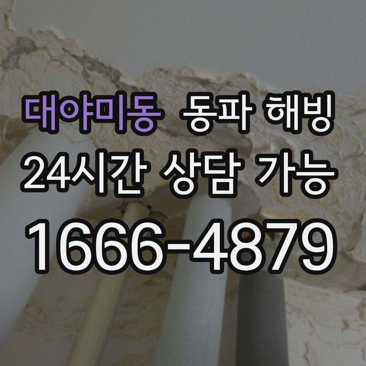 대야미동 동파 해빙 급수 중단 상황별로 다르게 보는 점검 포인트