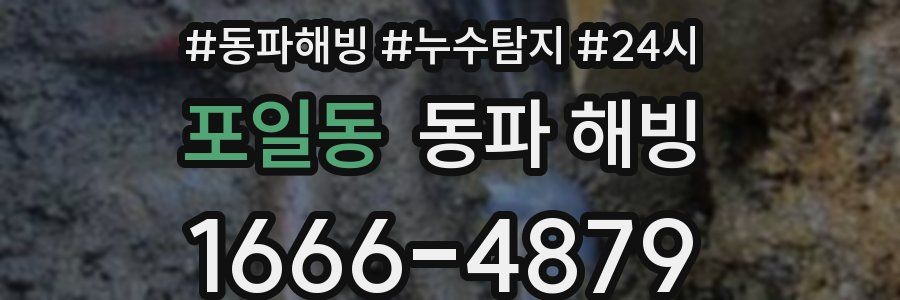 포일동 동파