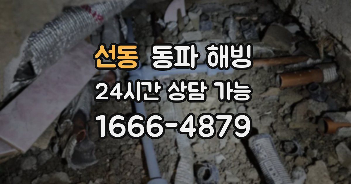 선동 동파 해빙