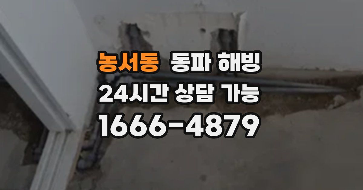 농서동 동파 해빙