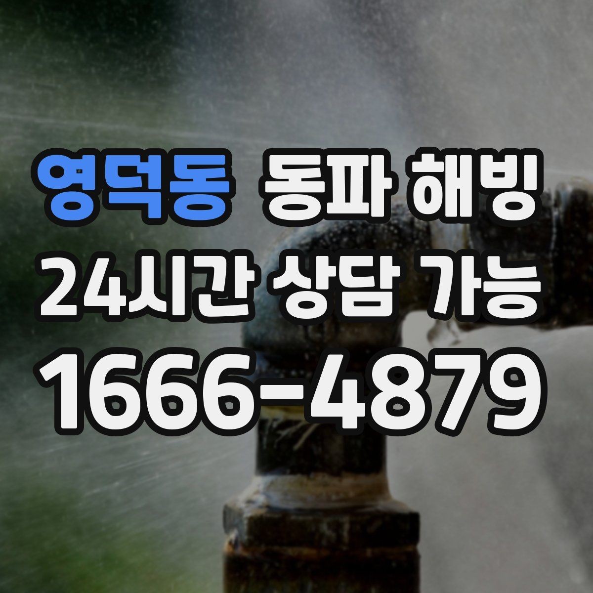 영덕동 동파 해빙 급수 중단인데 옆집은 괜찮을 때