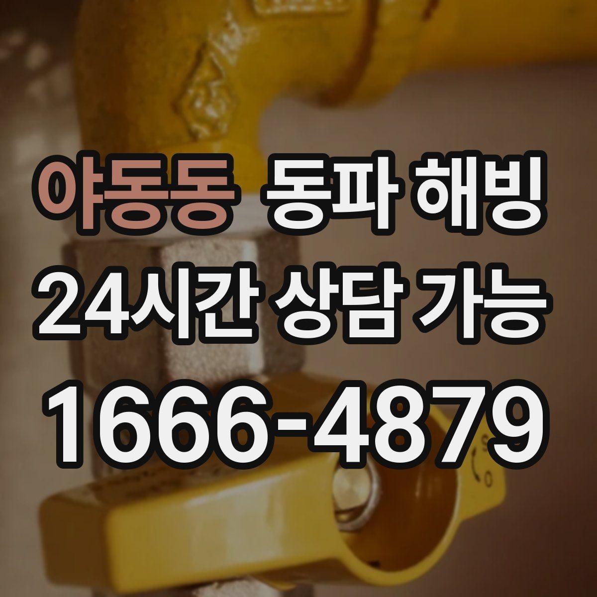 야동동 동파 해빙 현장 방문 전에 준비하면 좋은 정보