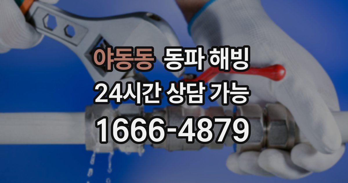 야동동 동파 해빙