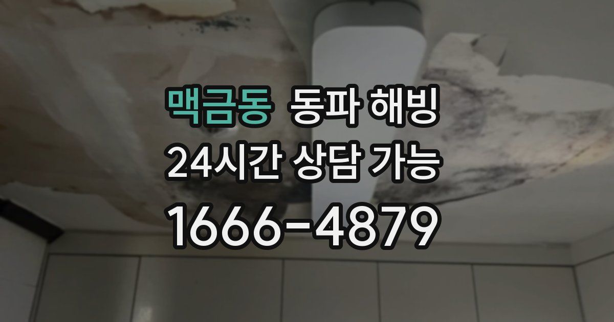 맥금동 동파 해빙