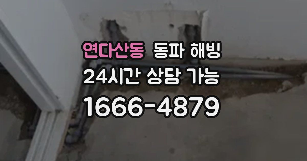 연다산동 동파 해빙