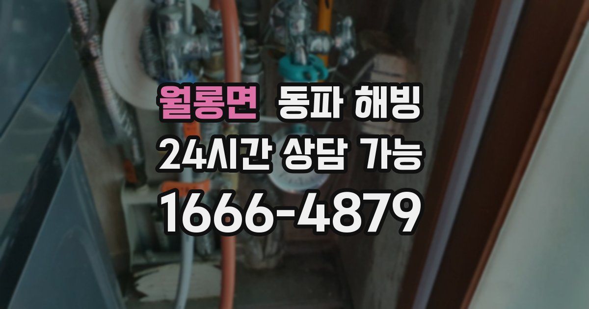 월롱면 동파 해빙