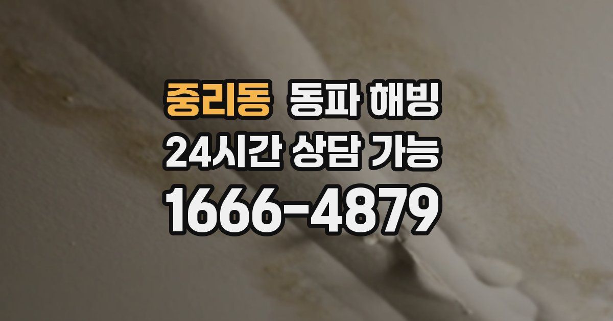 중리동 동파 해빙