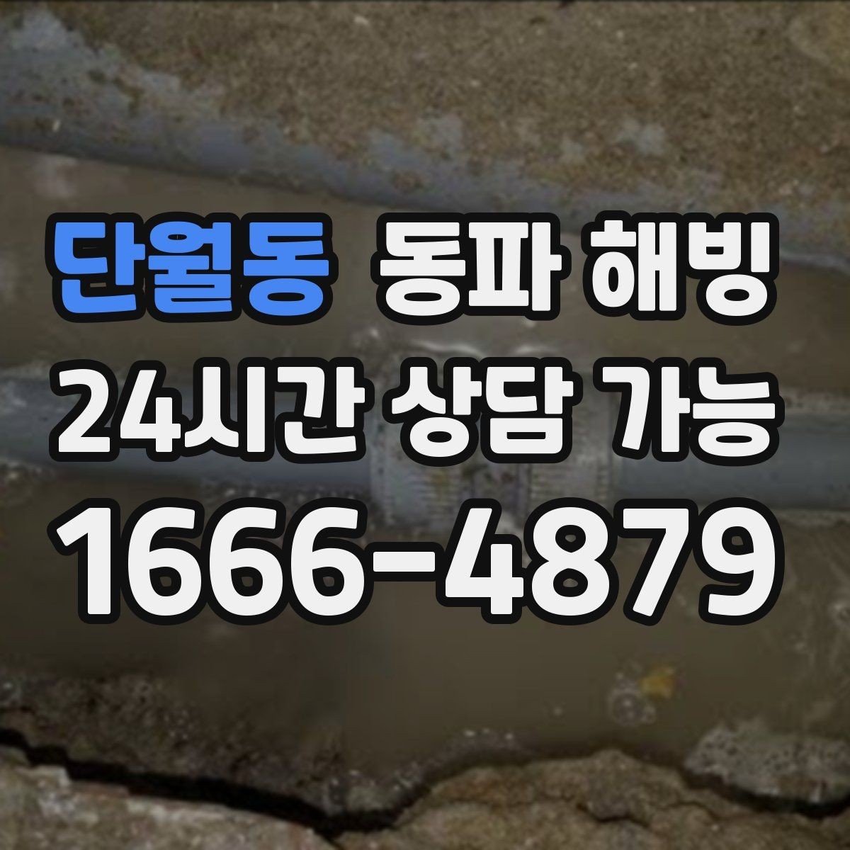 단월동 동파 해빙 한파 뒤 수도가 멈춘 이유와 점검 포인트