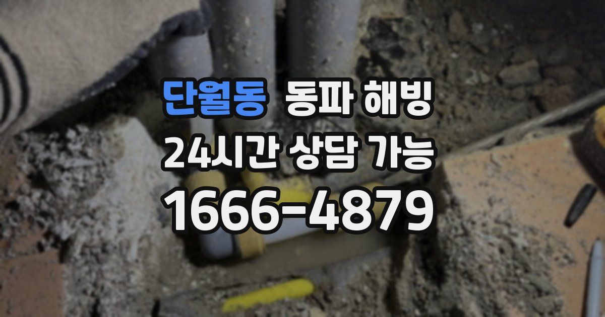 단월동 동파 해빙