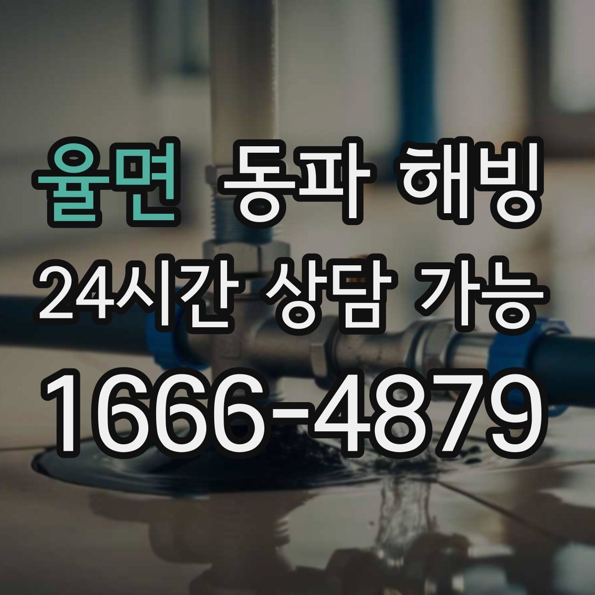 율면 동파 해빙 식당 영업 중 급수 중단 최소화 방법