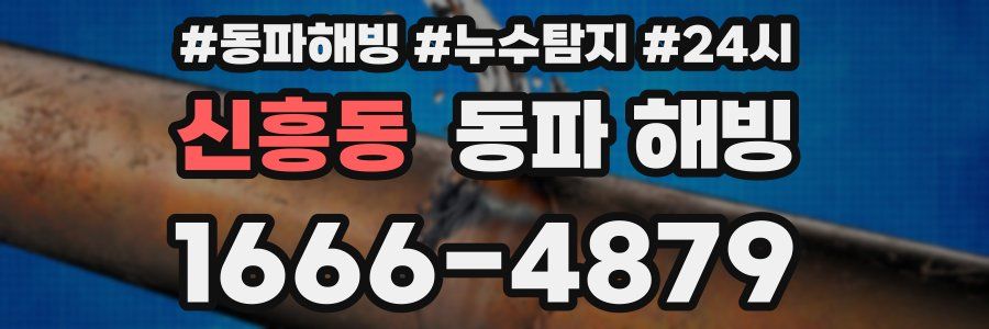 신흥동 동파