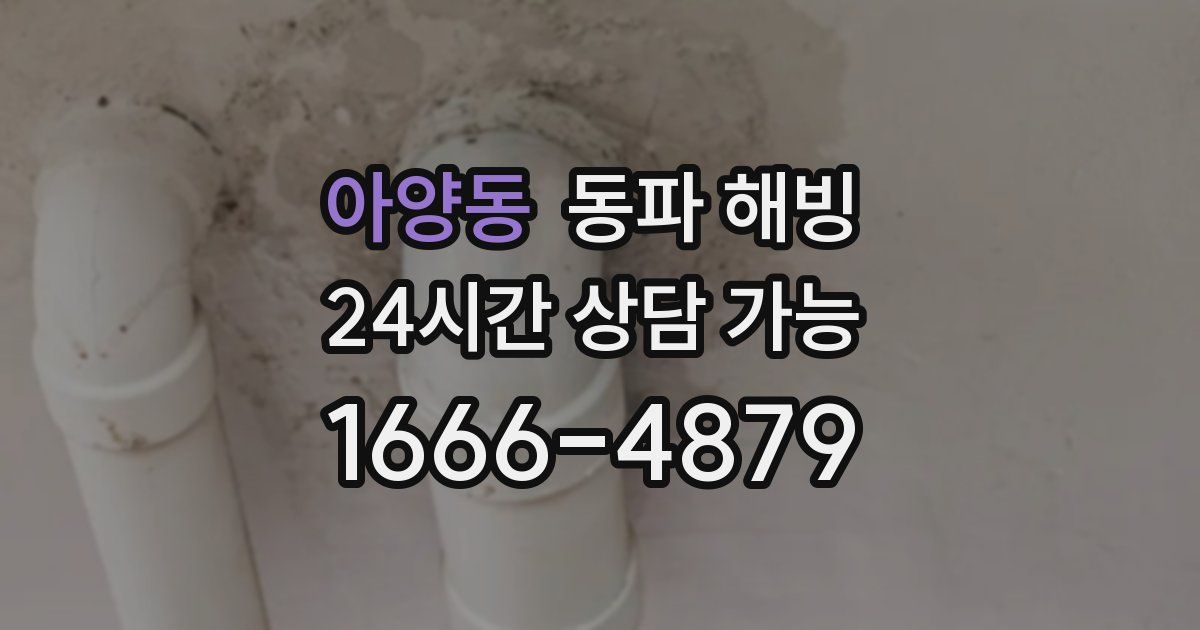 아양동 동파 해빙