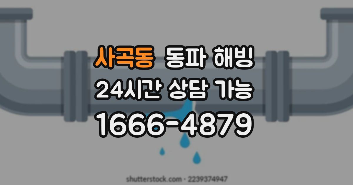 사곡동 동파 해빙