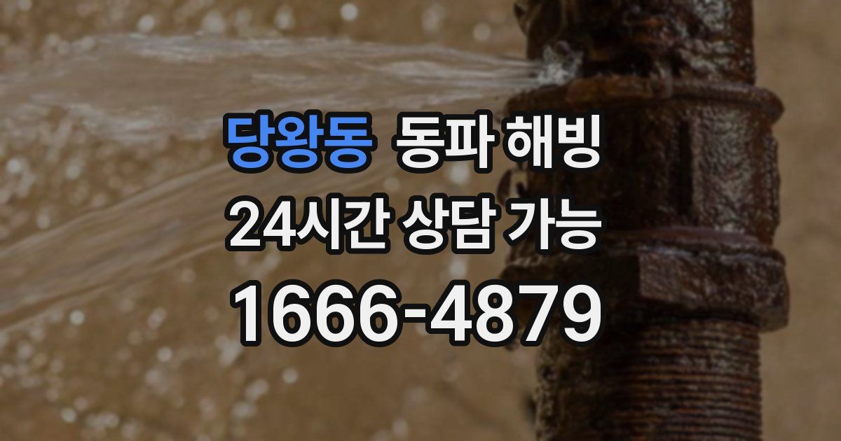 당왕동 동파 해빙