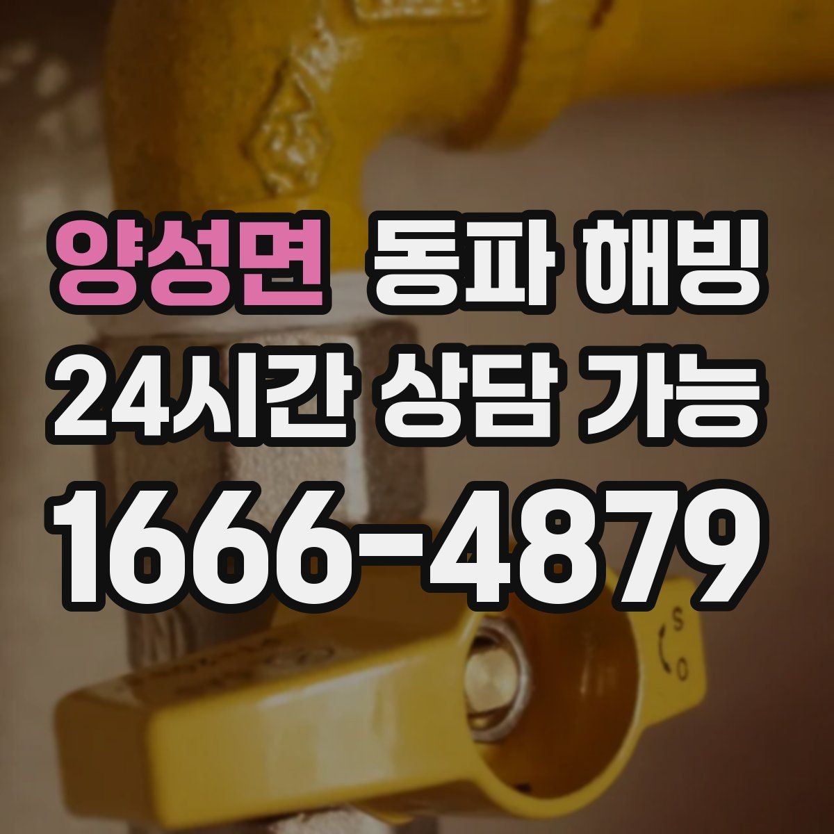 양성면 동파 해빙 카페 오픈 전 물이 안 나올 때 점검