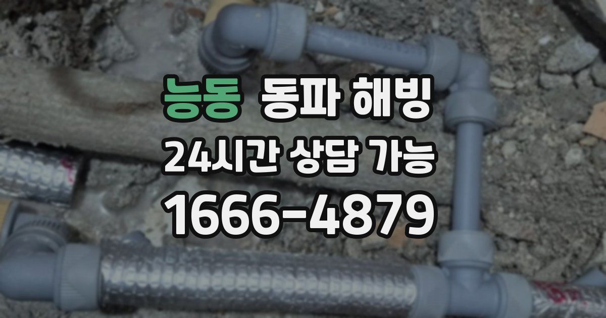 능동 동파 해빙