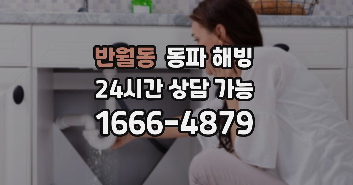 반월동 동파 해빙