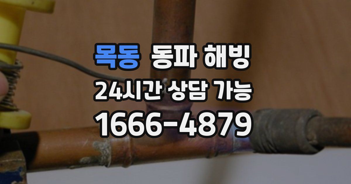 목동 동파 해빙