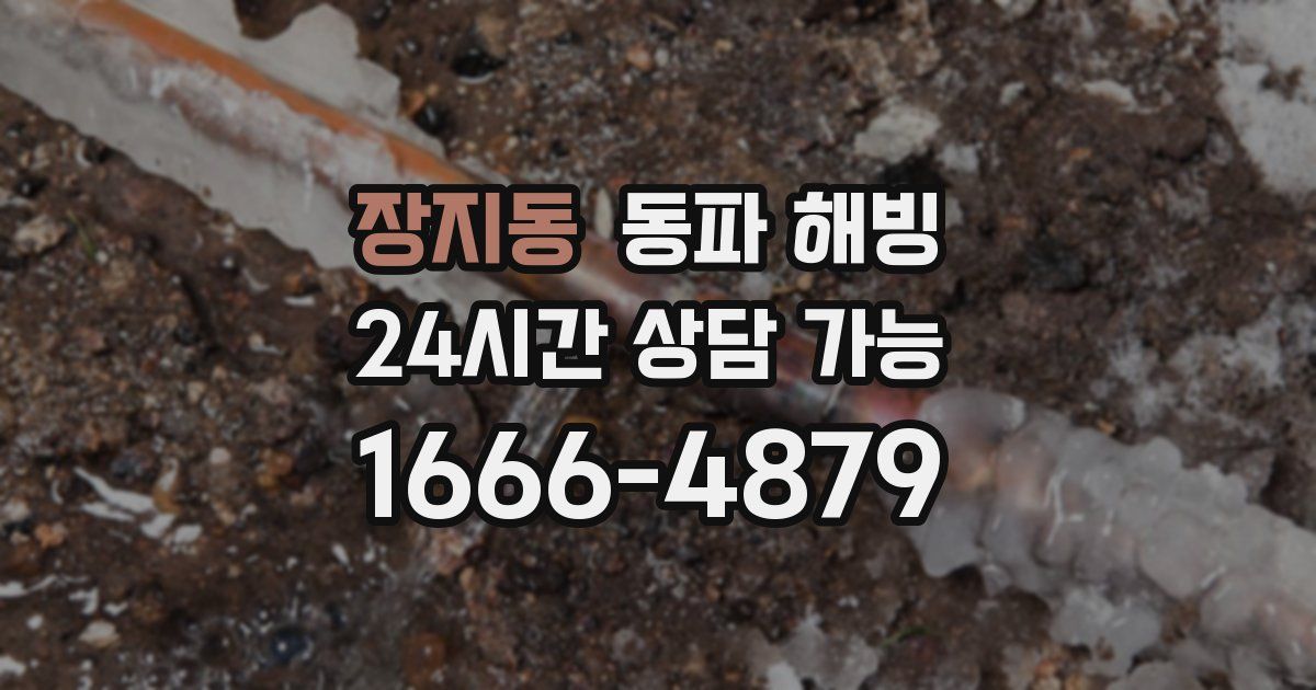 장지동 동파 해빙