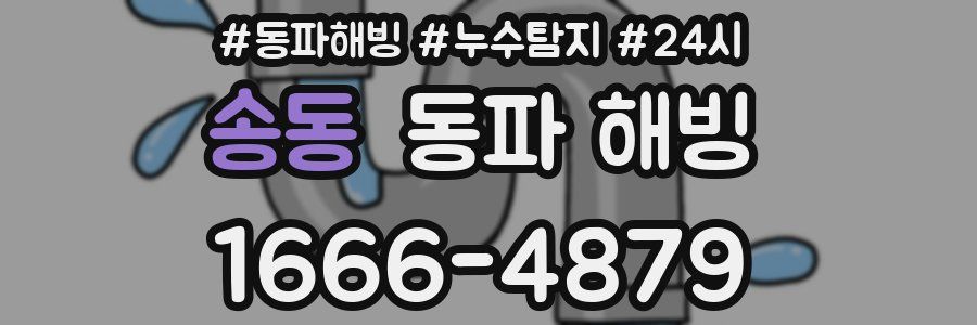 송동 동파