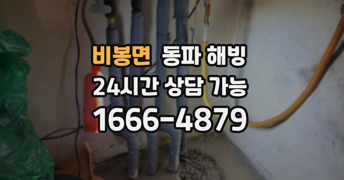 비봉면 동파 해빙