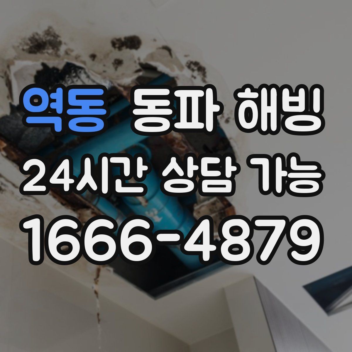 역동 동파 해빙 결빙 의심인데 무작정 뜯기 전에 해야 할 것