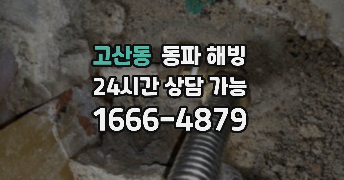 고산동 동파 해빙