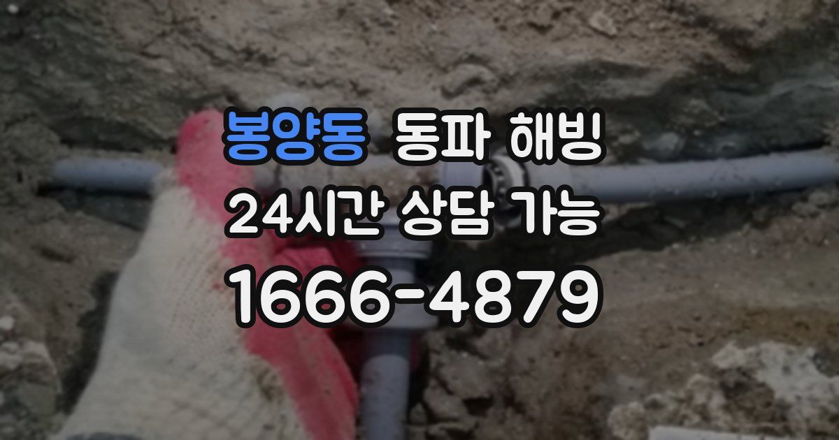 봉양동 동파 해빙