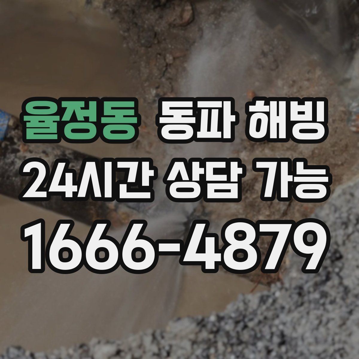 율정동 동파 해빙 온수만 약해졌을 때 보일러 주변 점검