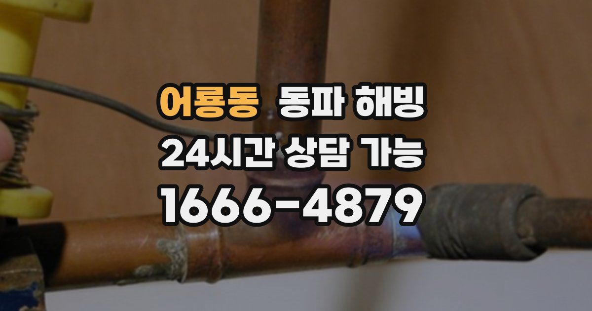 어룡동 동파 해빙