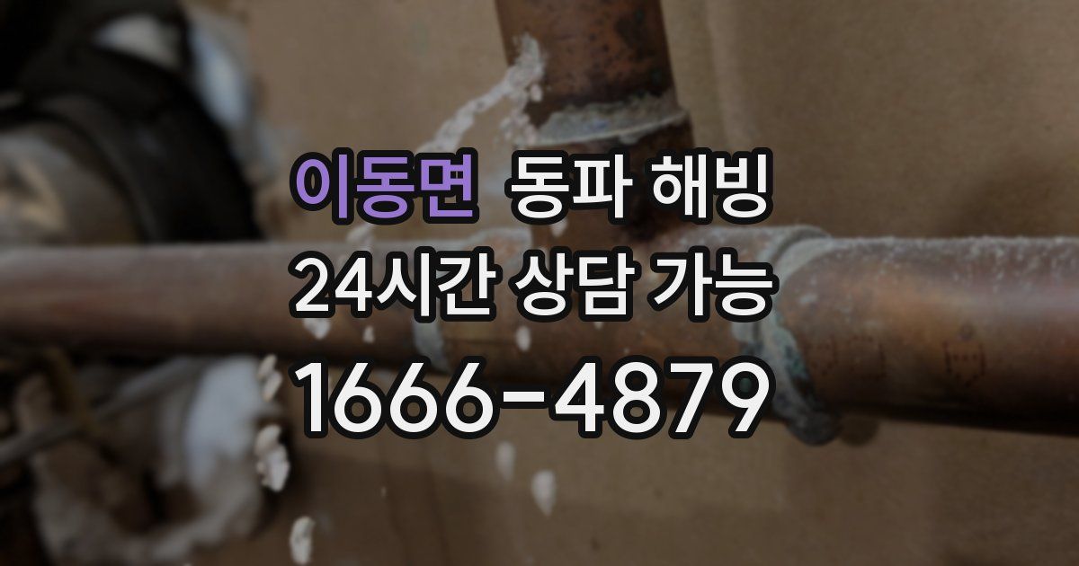 이동면 동파 해빙