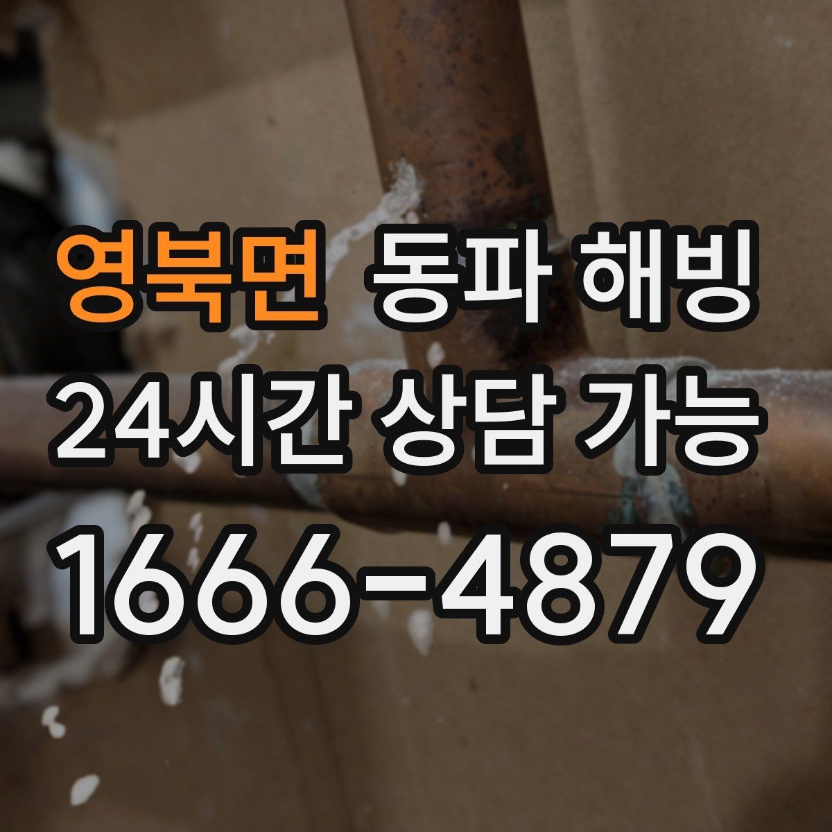 영북면 동파 해빙 주택과 상가 결빙 대응이 다른 이유