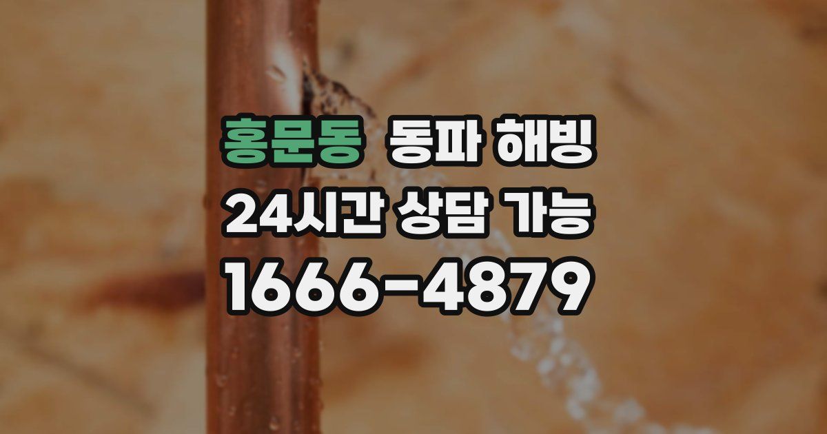 홍문동 동파 해빙