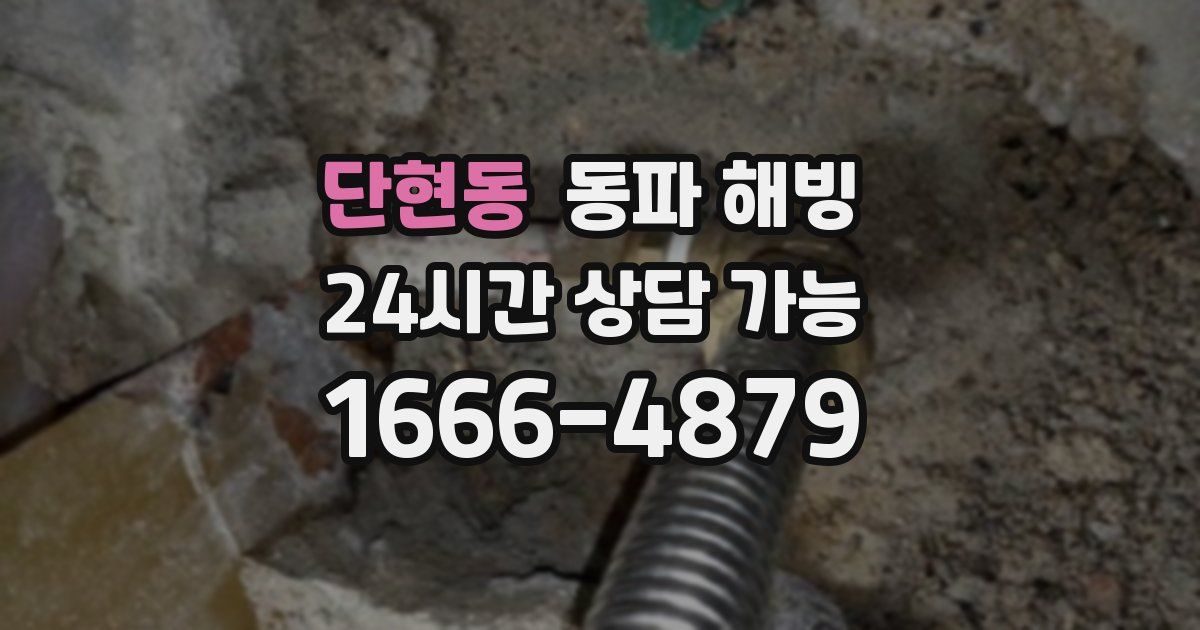 단현동 동파 해빙