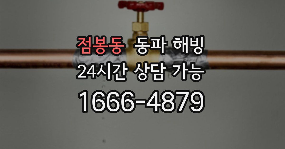 점봉동 동파 해빙