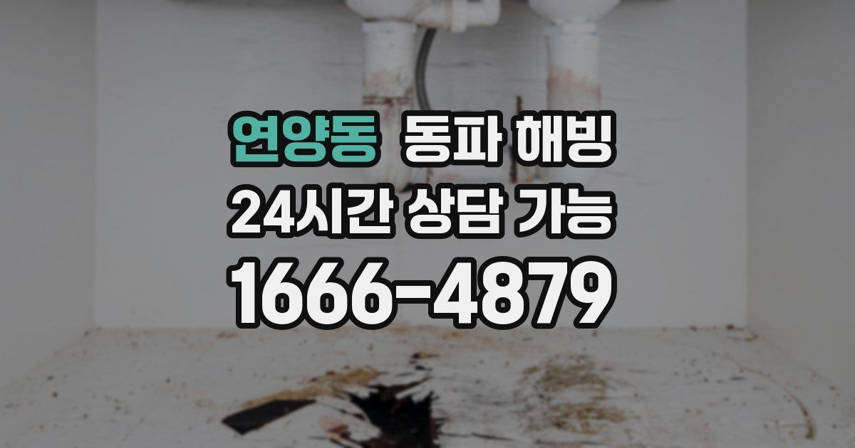 연양동 동파 해빙