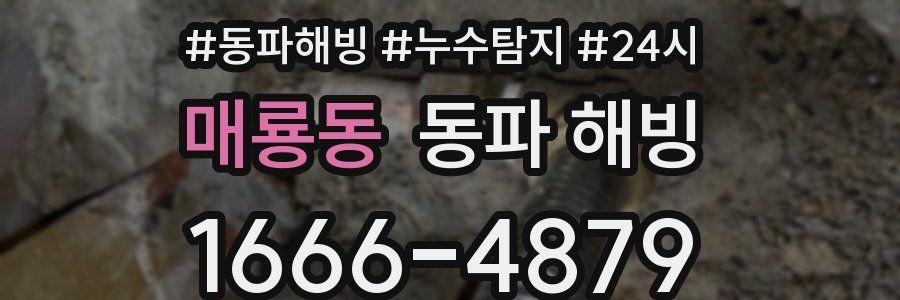 매룡동 동파