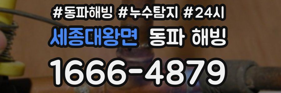 세종대왕면 동파