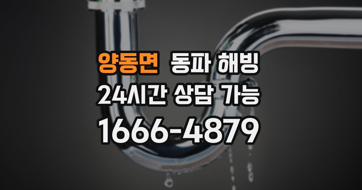 양동면 동파 해빙