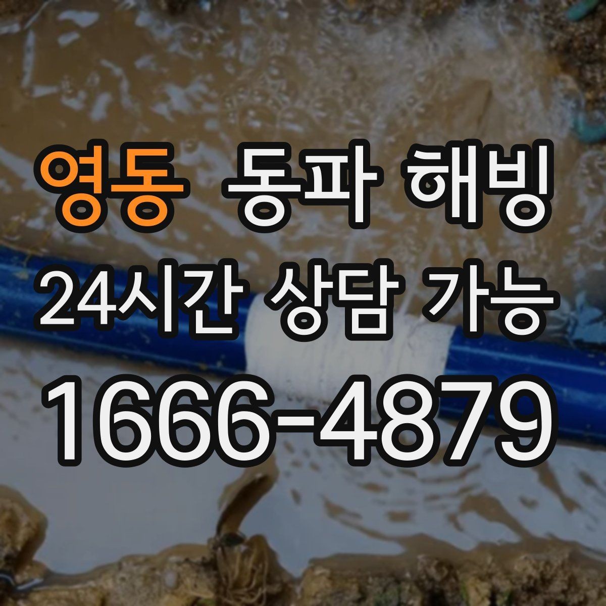 영동 동파 해빙 다가구 주택 급수 중단 점검 순서