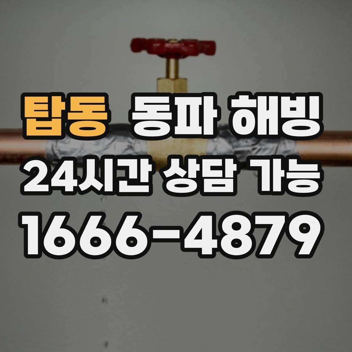 탑동 동파 해빙 세탁기만 급수가 안 될 때 확인 순서