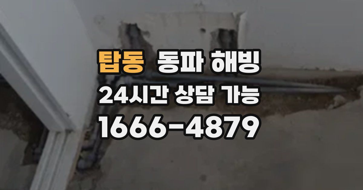 탑동 동파 해빙