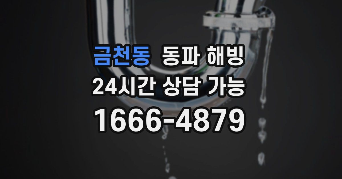 금천동 동파 해빙
