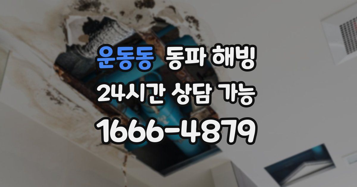 운동동 동파 해빙