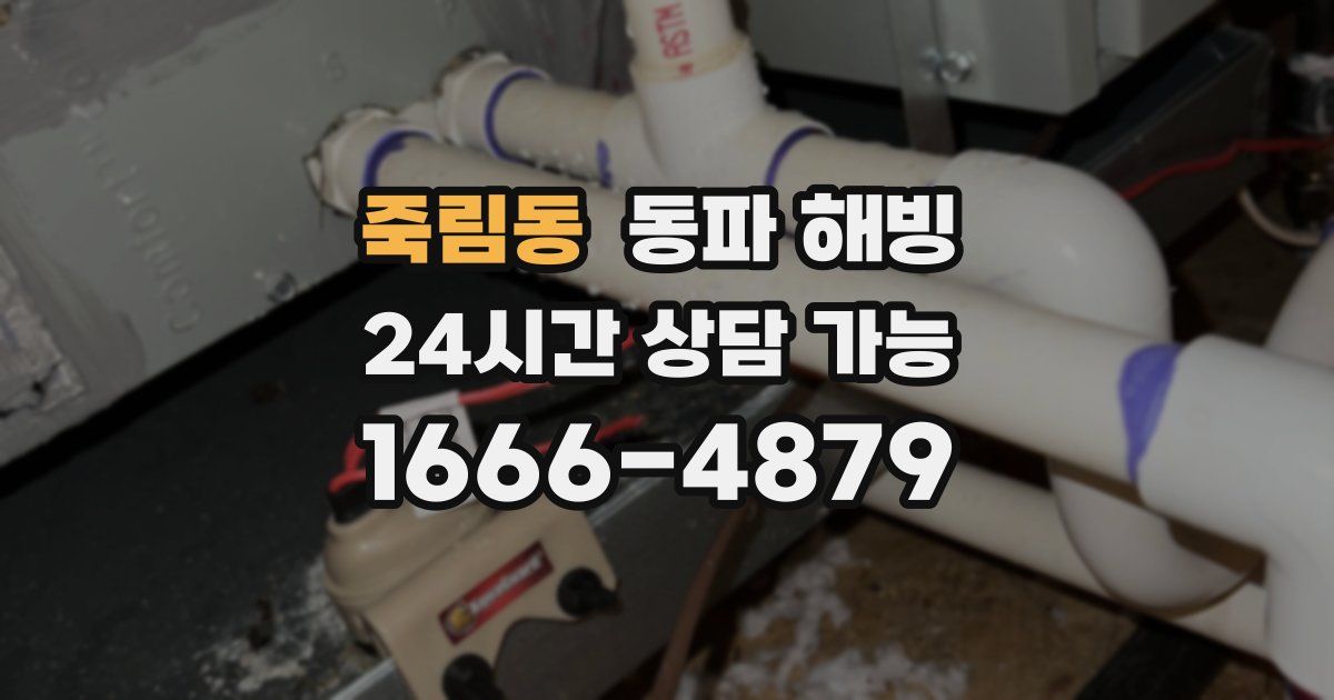 죽림동 동파 해빙