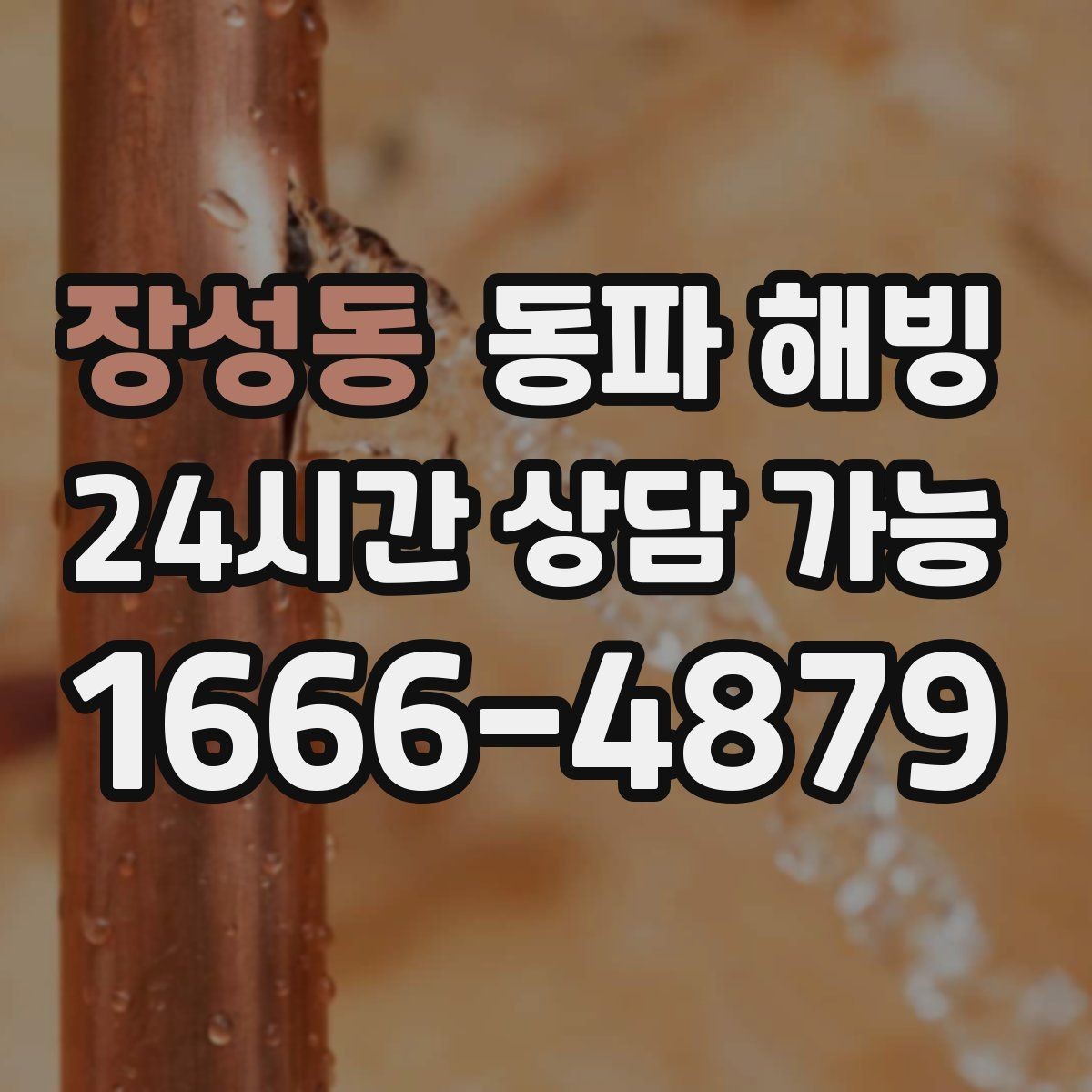 장성동 동파 해빙 반복 결빙을 줄이는 취약 구간 정리