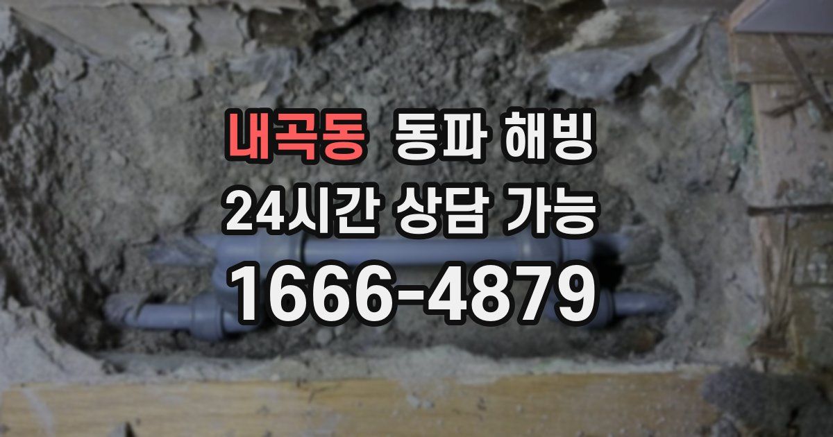 내곡동 동파 해빙