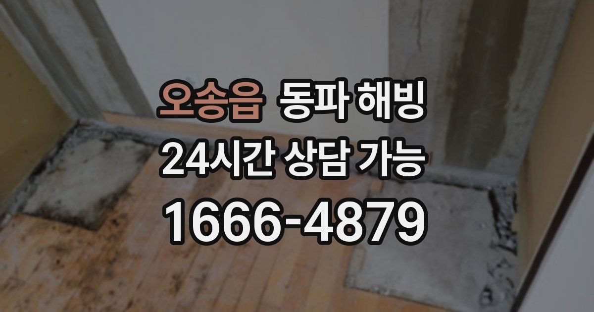 오송읍 동파 해빙