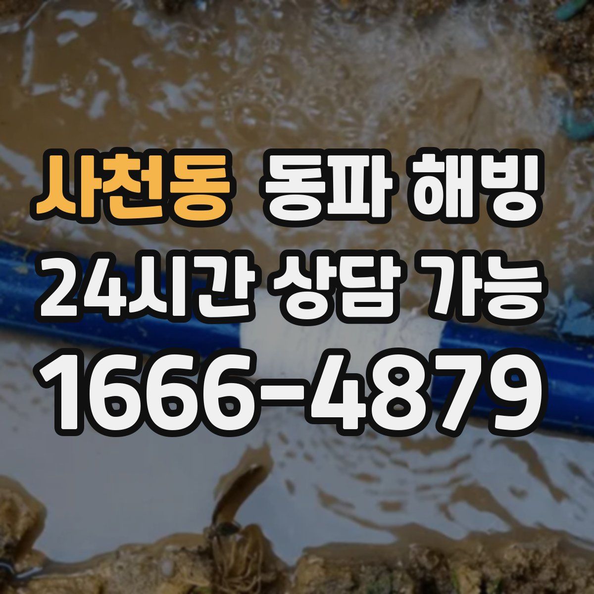 사천동 해빙