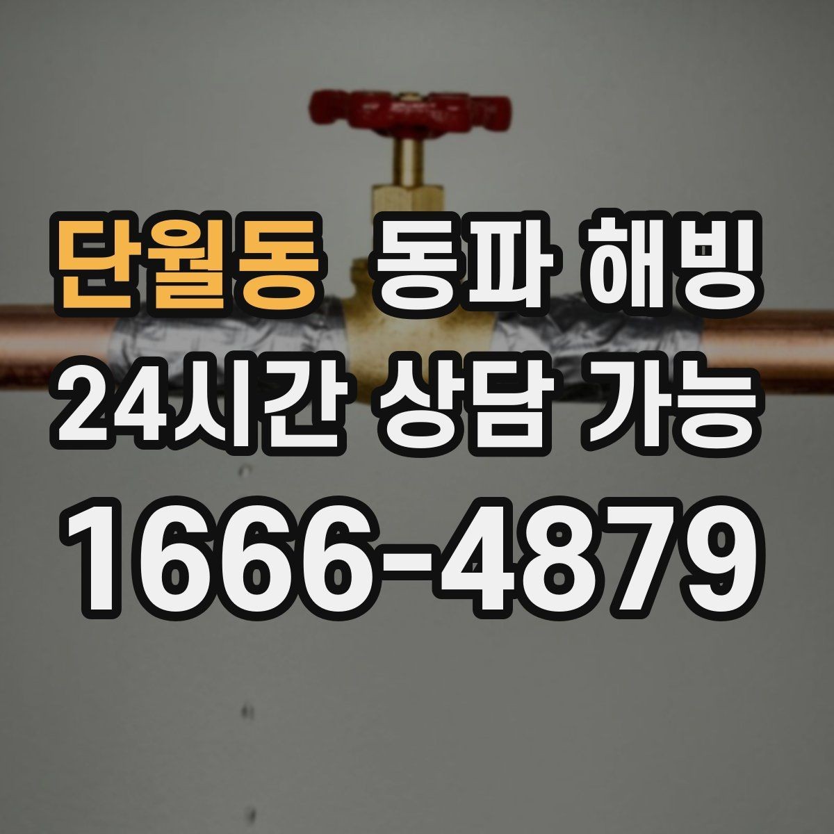단월동 동파 해빙 한파 뒤 많이 생기는 결빙 위치 정리